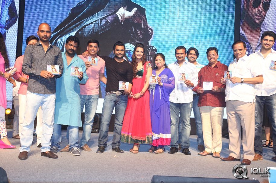 Nee-Jathaga-Nenundali-Movie-Audio-Launch